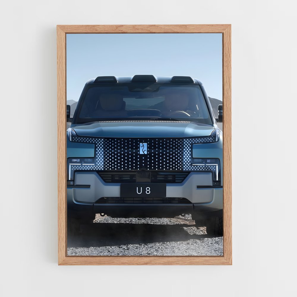 Poster Lincoln U8 Concept – affiche BYD (vue 4)